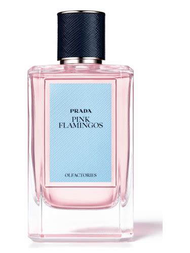 prada flamingo perfume|Pink Flamingos Prada perfume .